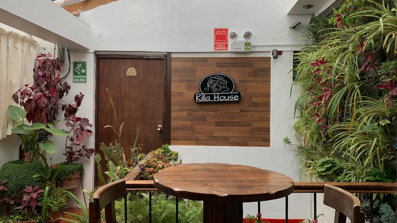 Vista previa de video de TikTok